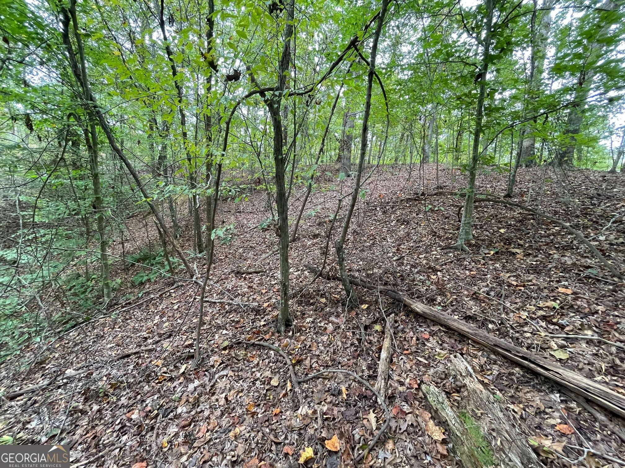 Westminster, SC 29693,LOT 296 Oconee AVE