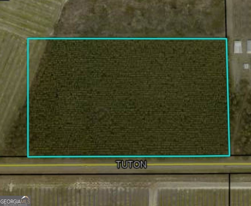 Baconton, GA 31716,0 Tuton RD