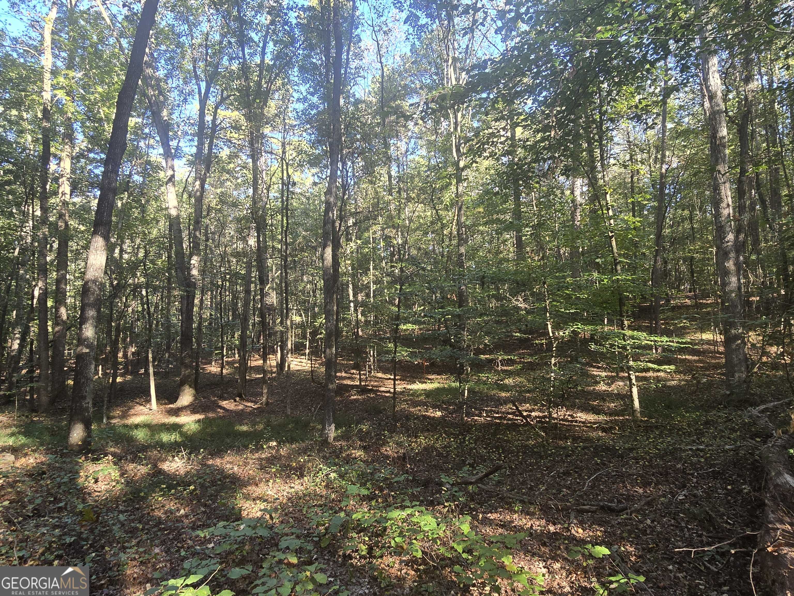 Jefferson, GA 30549,1504 Academy Church RD