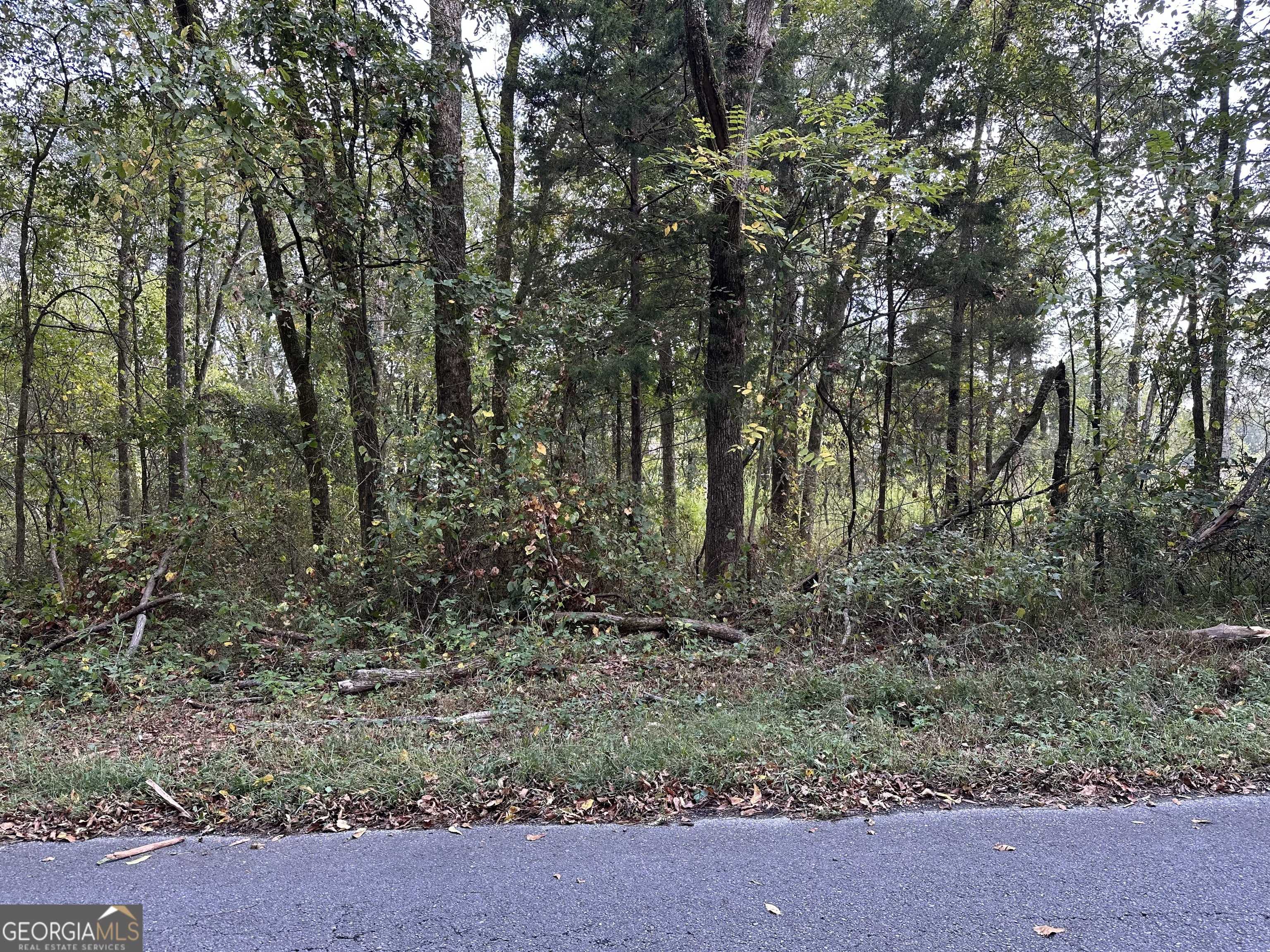 Aragon, GA 30104,0 Hwy 101 and Dean RD