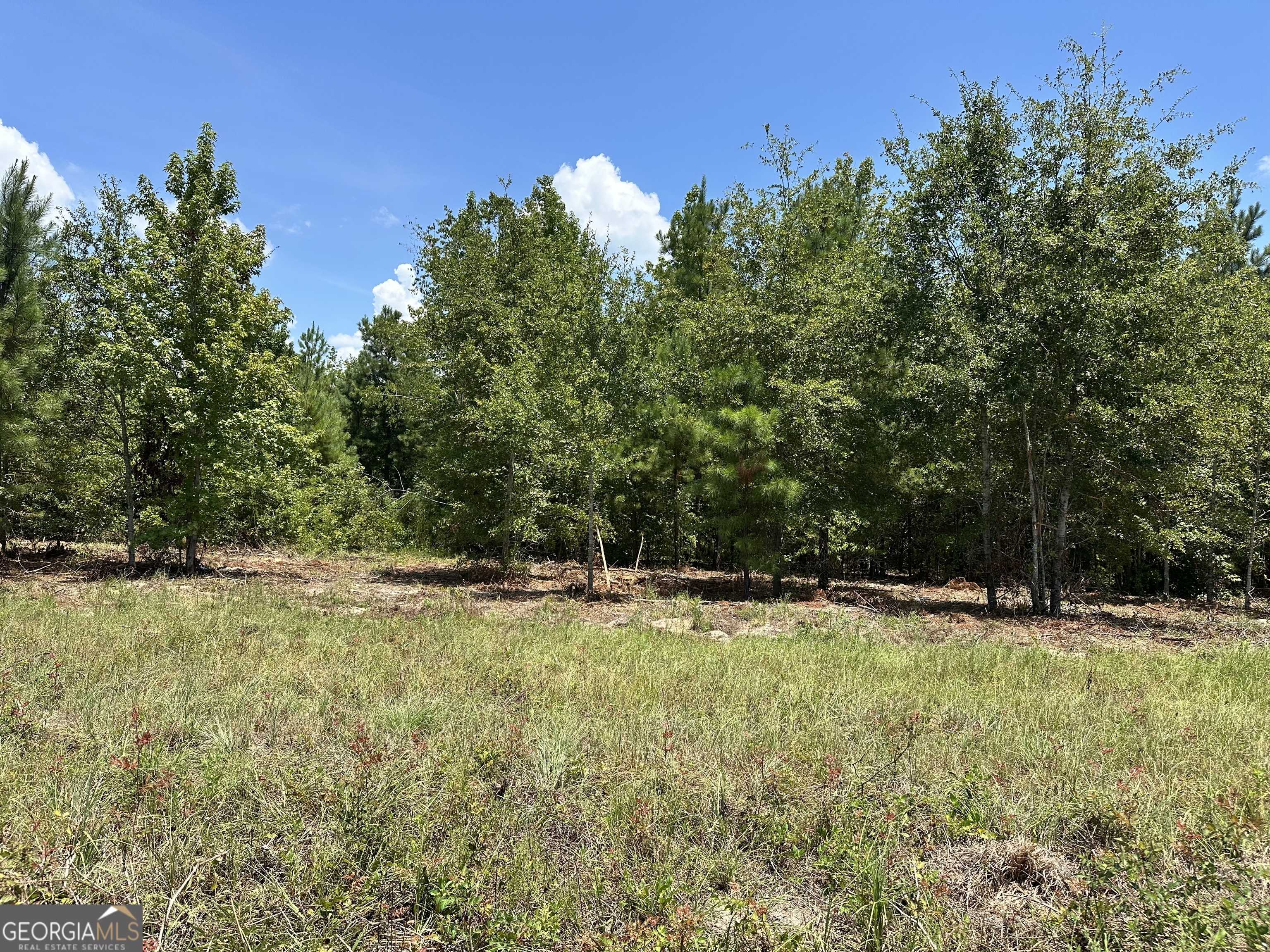 Dublin, GA 31021,0 Highway 19
