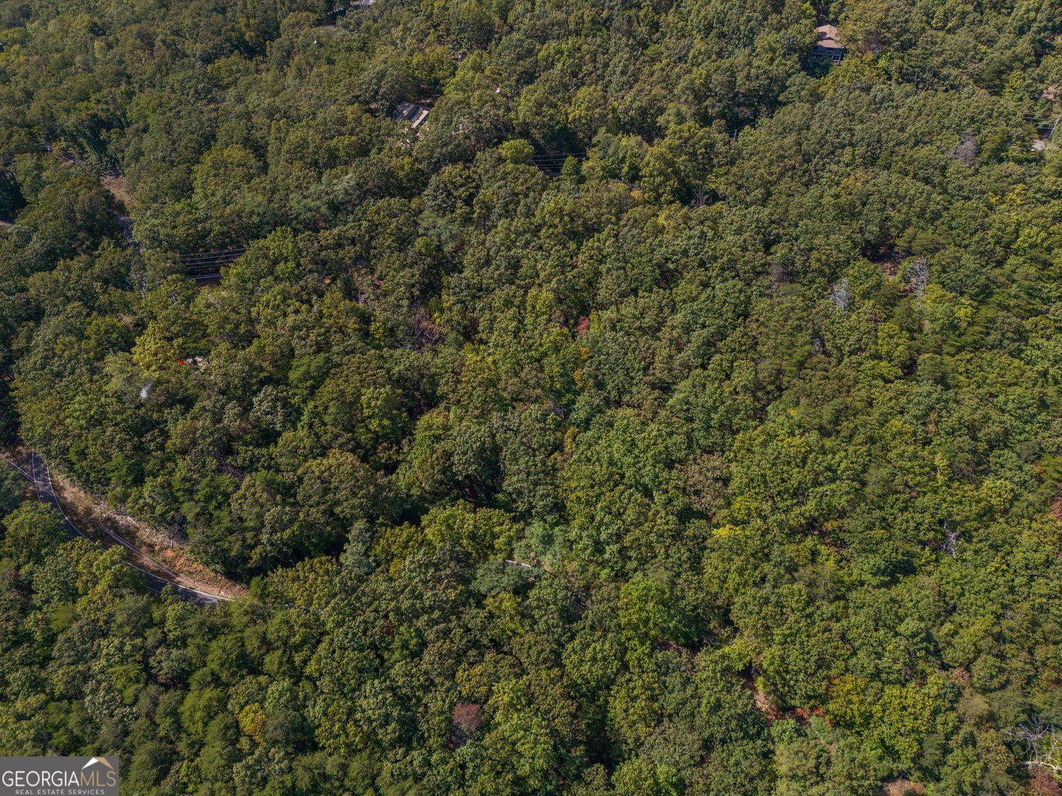 Jasper, GA 30143,0 Little Hendricks Mountain RD