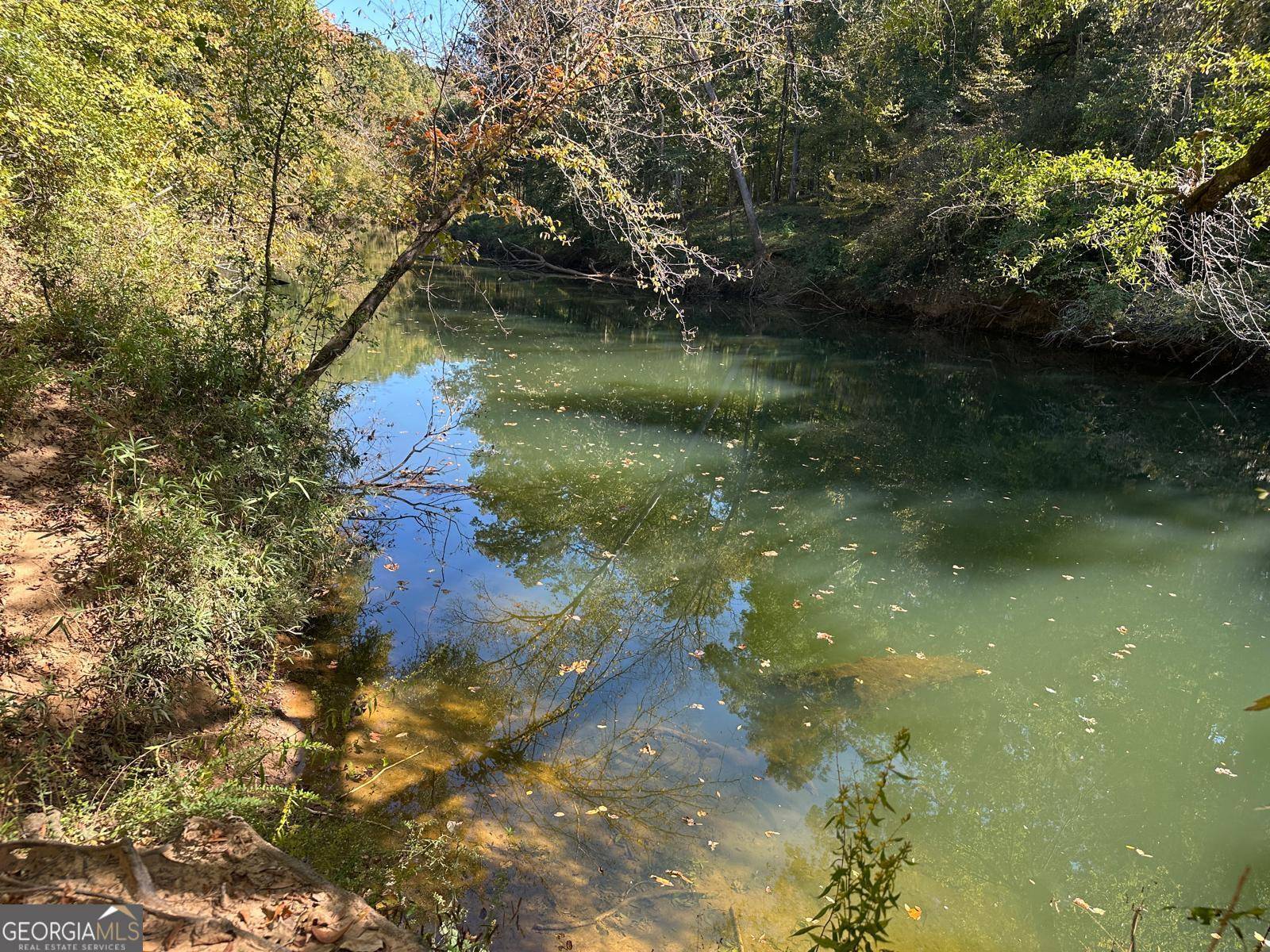 Forsyth, GA 31029,401 Towaliga TRL