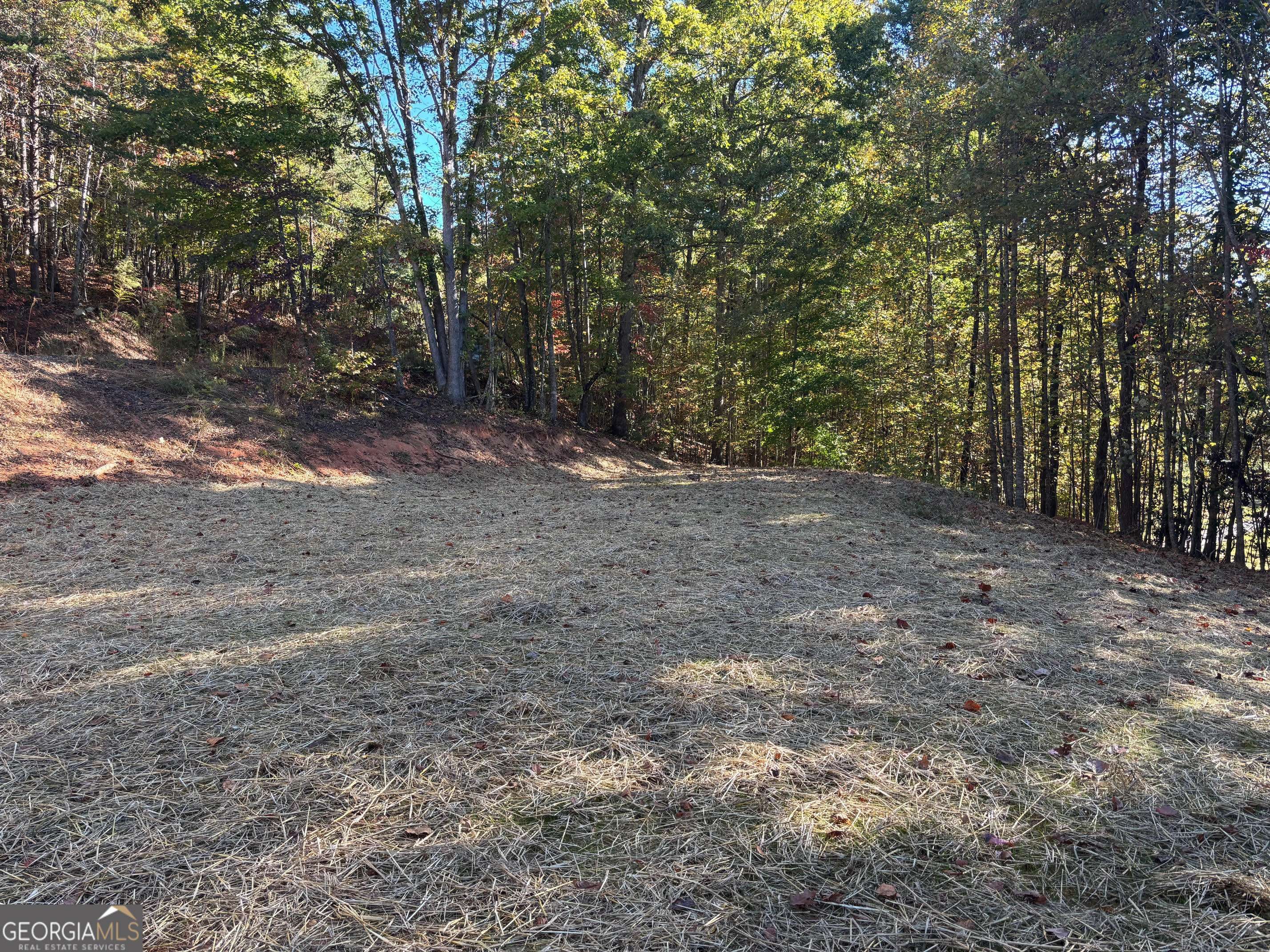 Sautee Nacoochee, GA 30571,114 Tall Oak DR