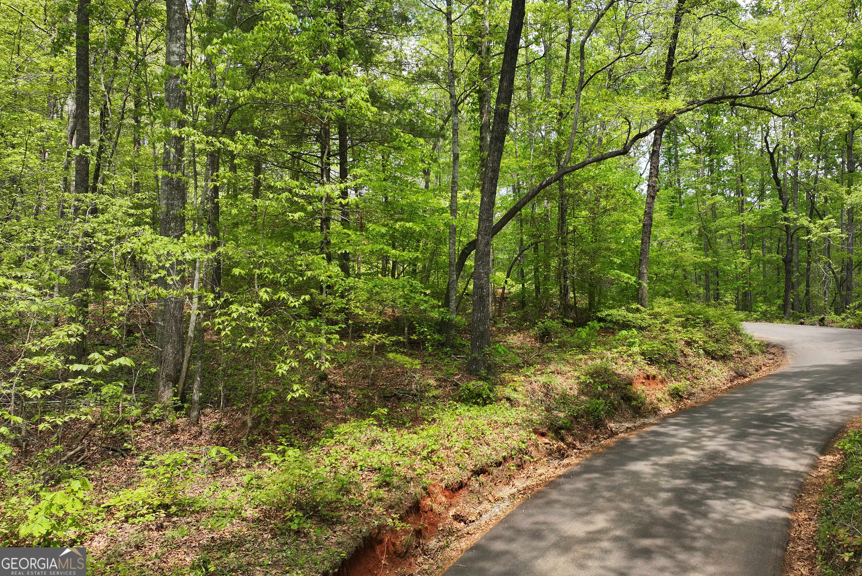 Dawsonville, GA 30534,0 Lawrence RD