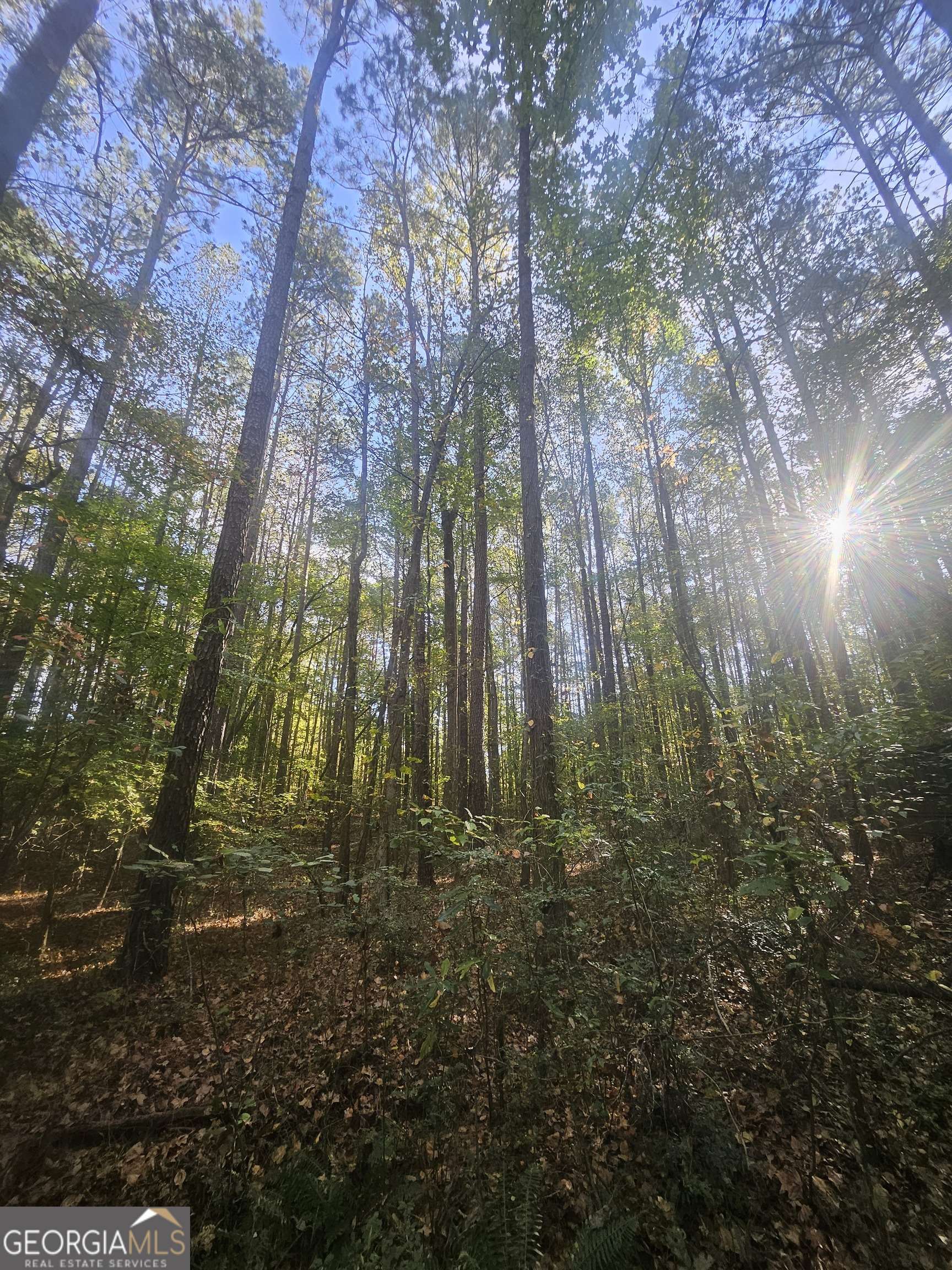 Powder Springs, GA 30127,4861 MOON RD