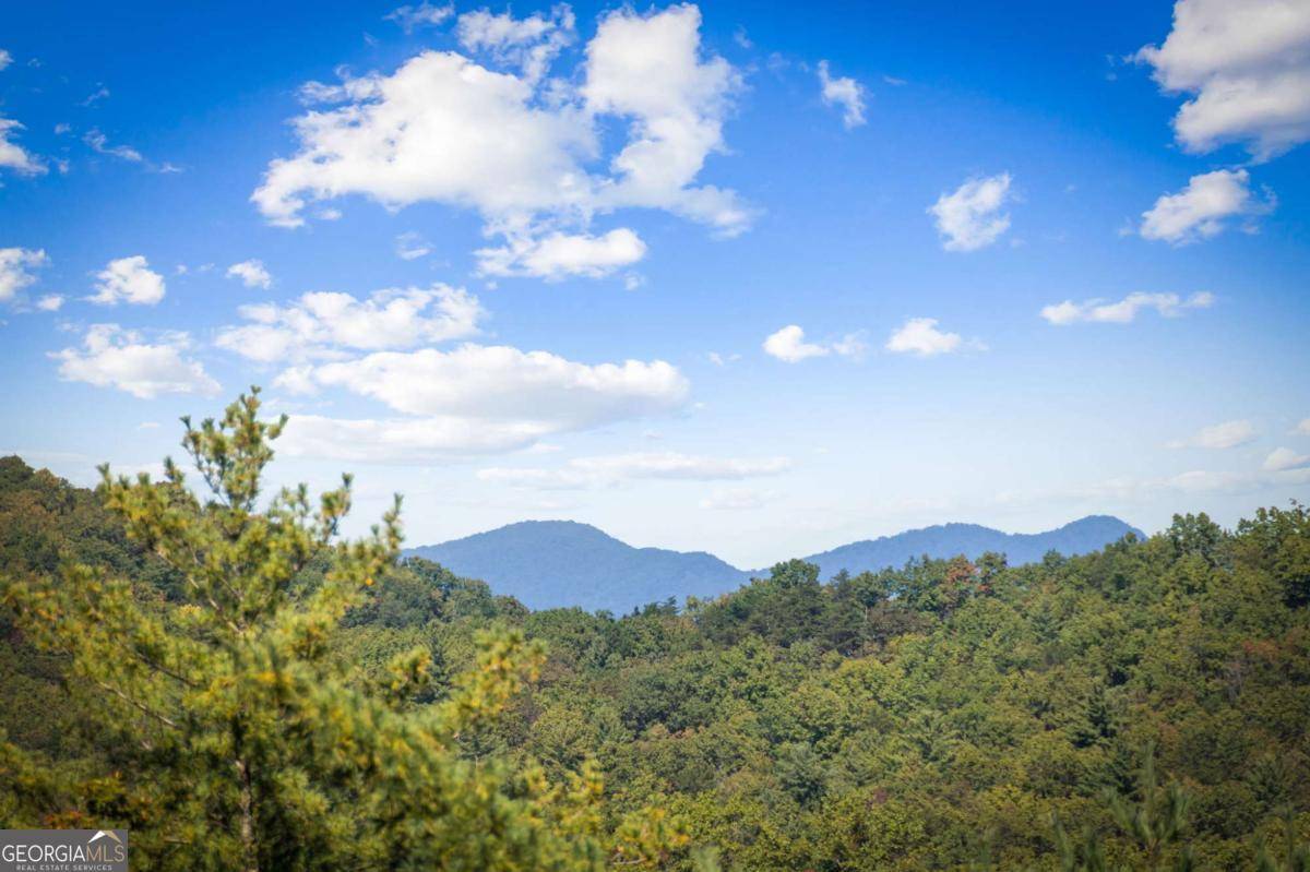 Blue Ridge, GA 30513,588 Bell Camp Ridge RD