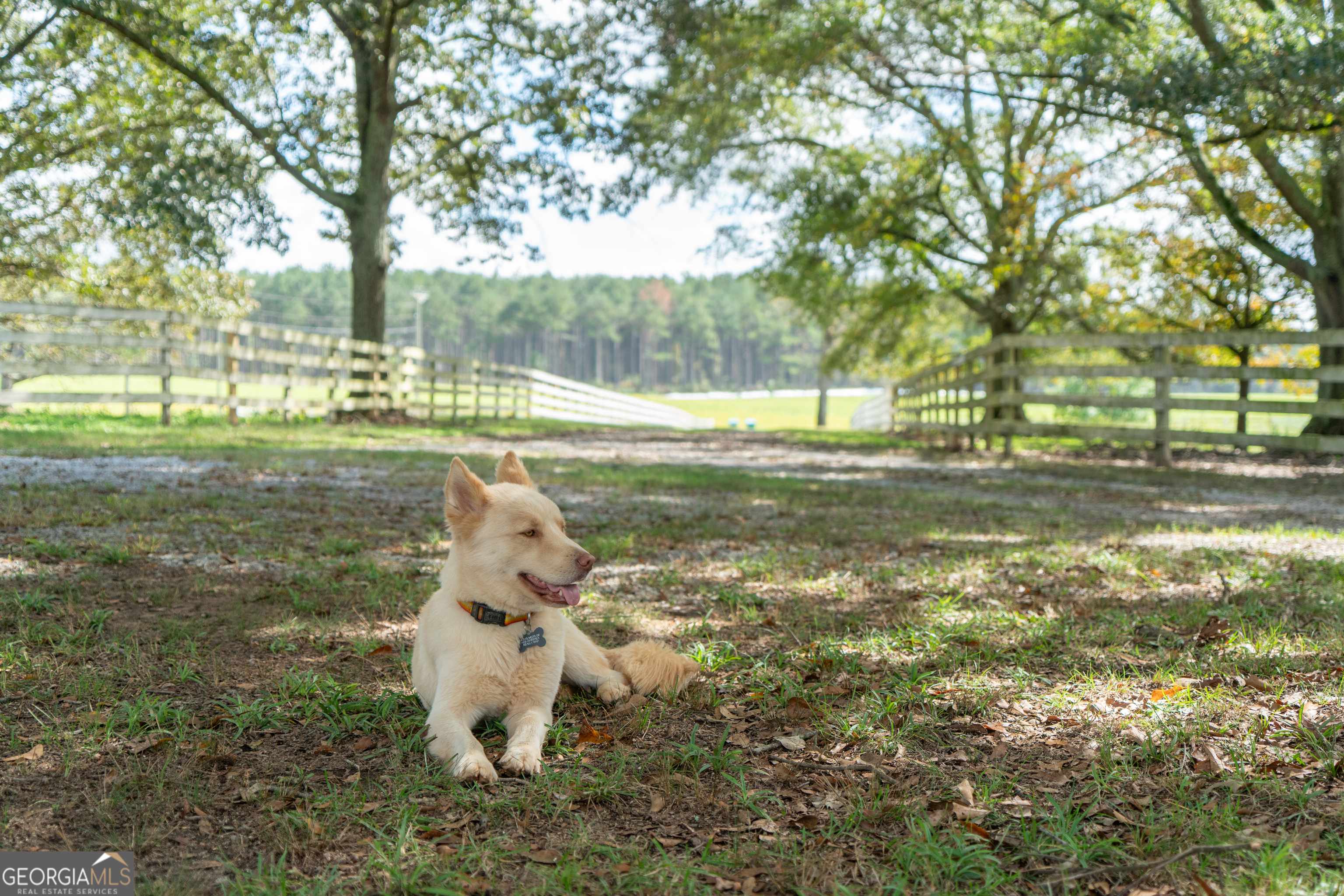 Bowman, GA 30624,1963 Rehoboth RD #EXTENSION