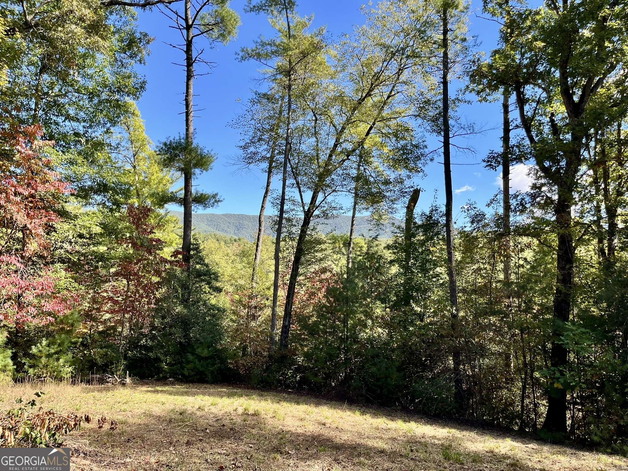 Ellijay, GA 30540,12.64 AC Harrison Sluder RD