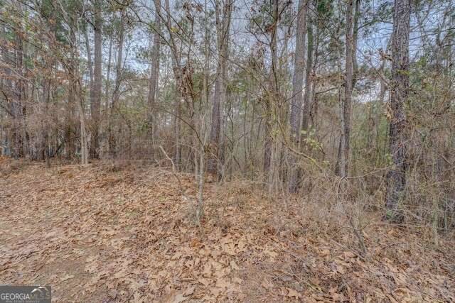 Monticello, GA 31064,0 Goldeneye CT #LOT 90