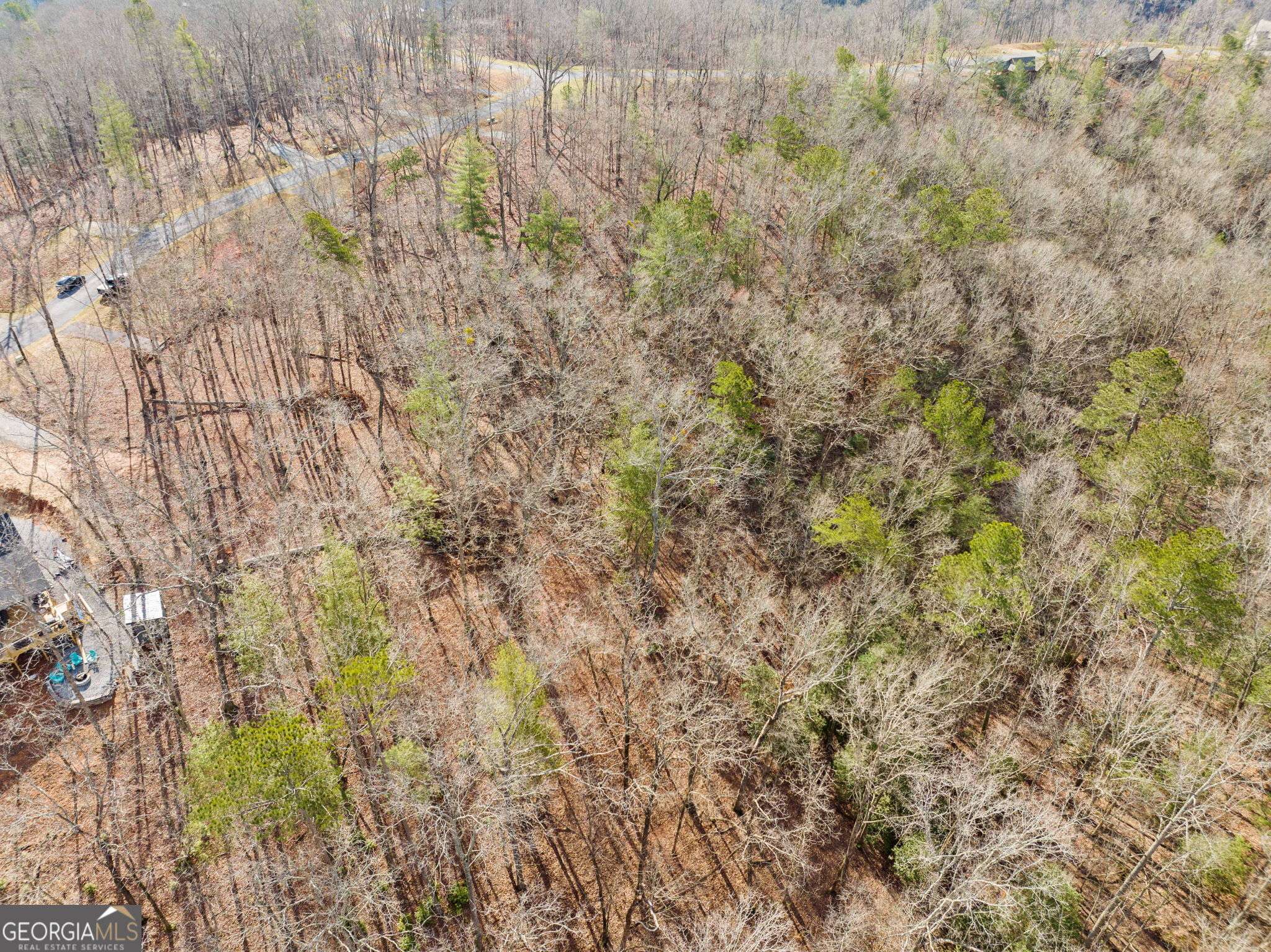 Ellijay, GA 30540,LOT 33 S Jakes Landing WAY