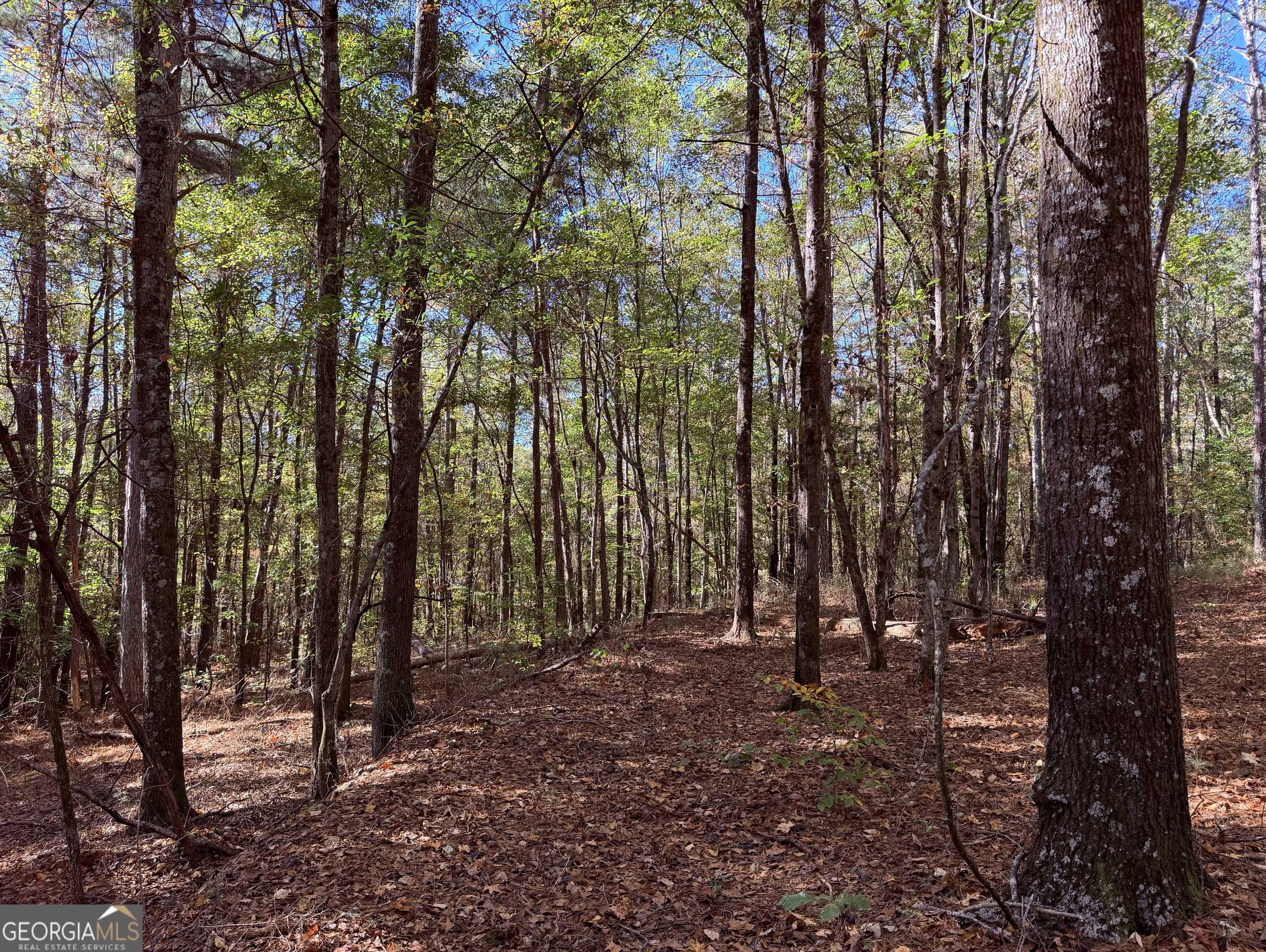 Carrollton, GA 30116,977 Whooping Creek RD