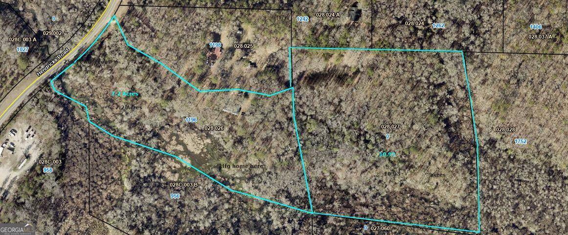 Fort Valley, GA 31030,1196 Hendricks RD