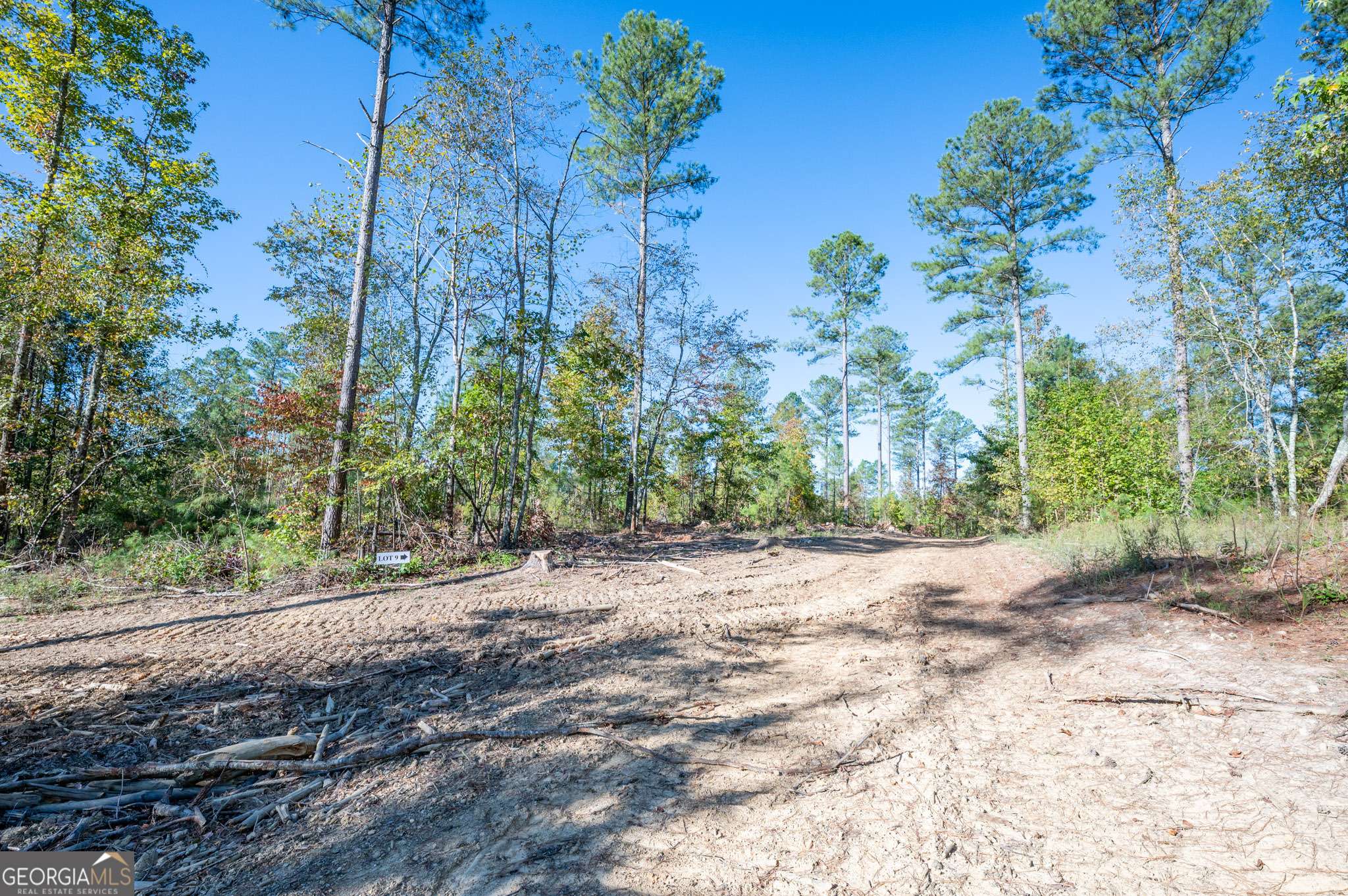 Rydal, GA 30171,3863 HWY 140 NE