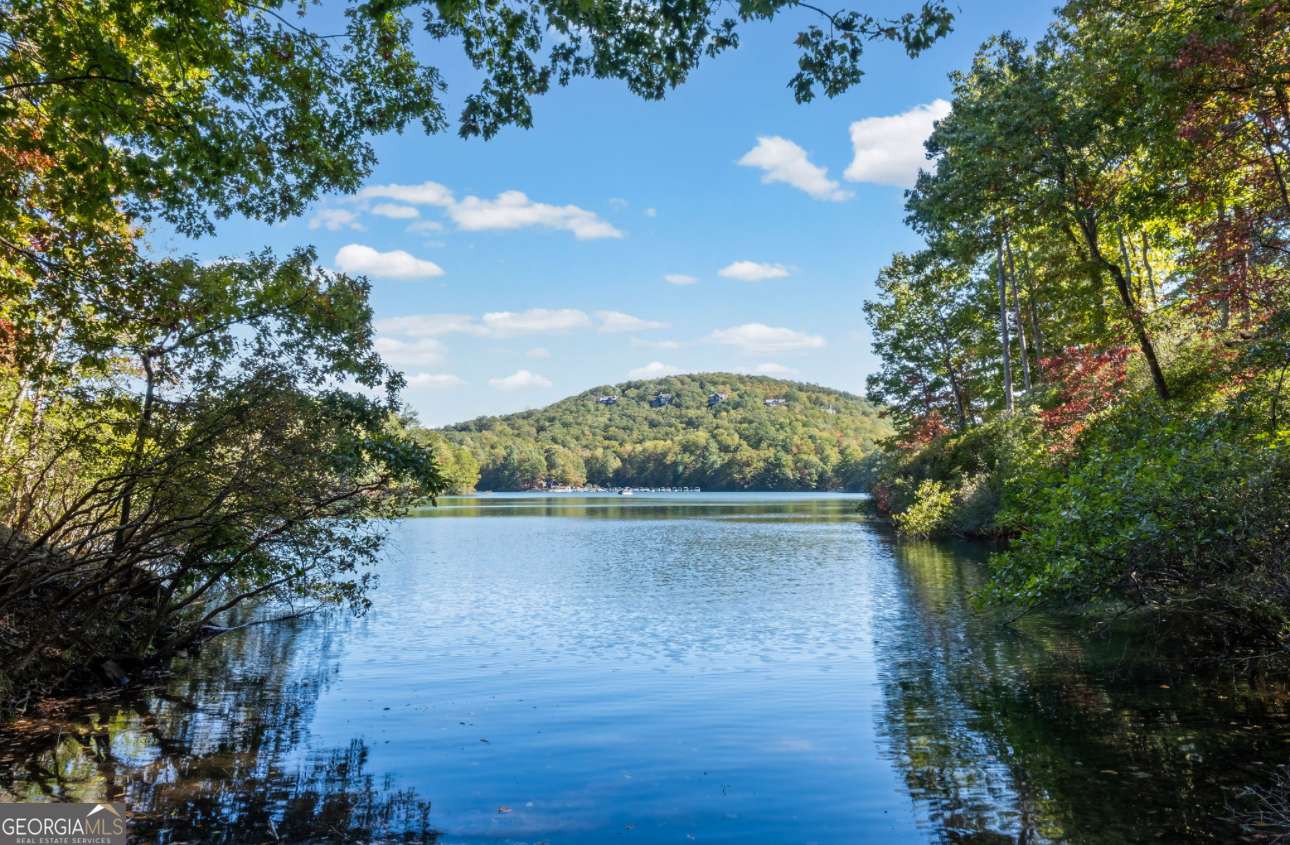 Big Canoe, GA 30143,81 Flycatcher PT