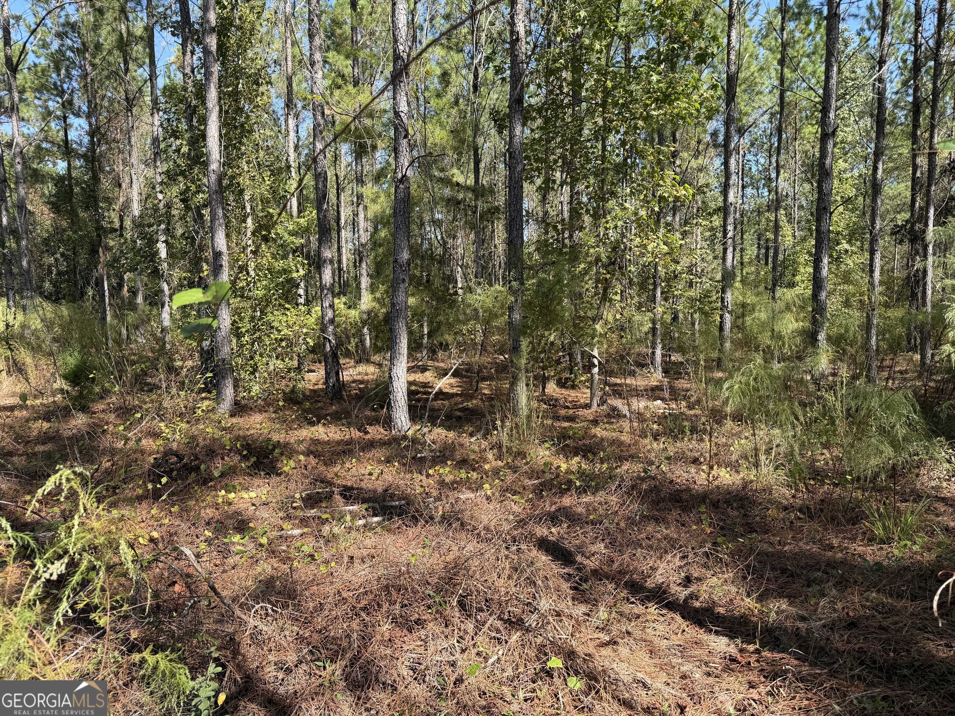 Cairo, GA 39828,0 Upper Hawthorne Trail