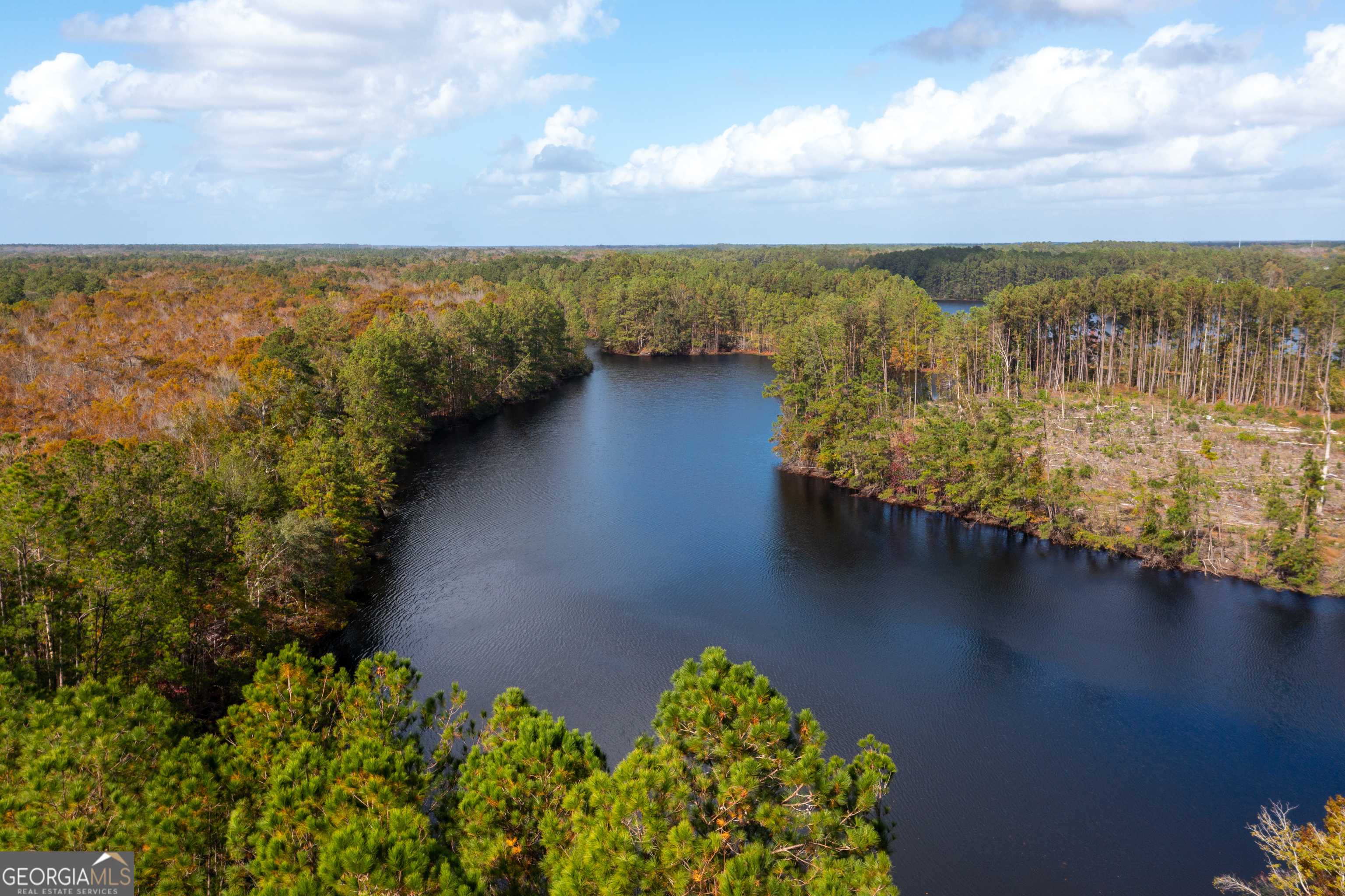 Bloomingdale, GA 31302,124 Harvey RD