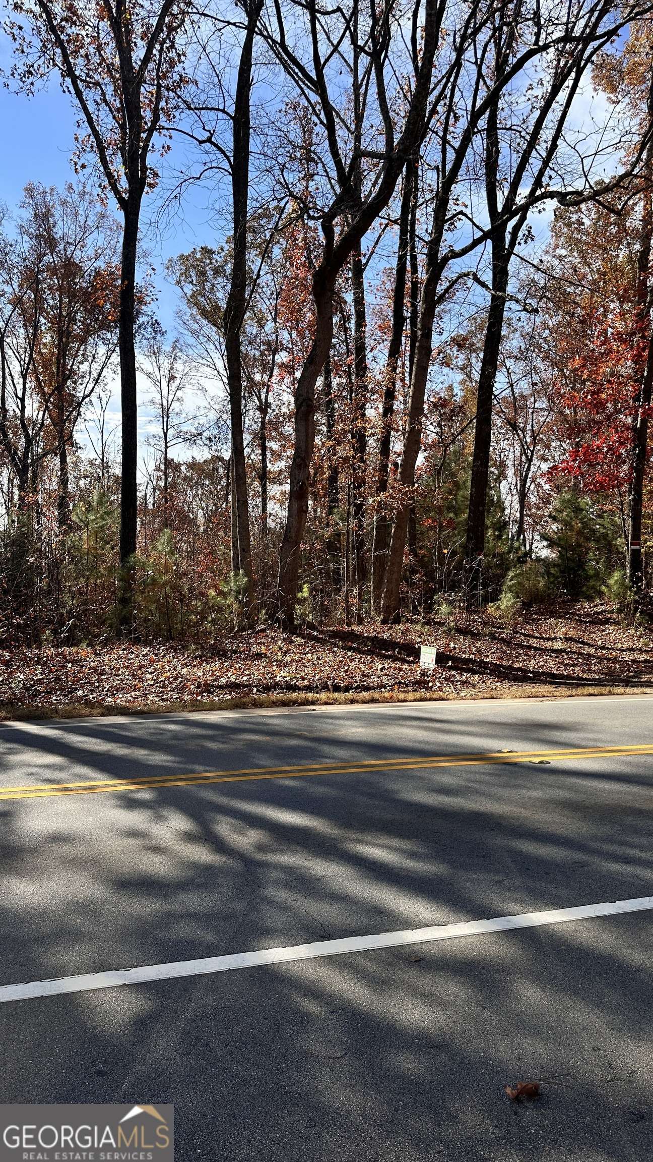 Dallas, GA 30132,43 ACRES Ivey Springs