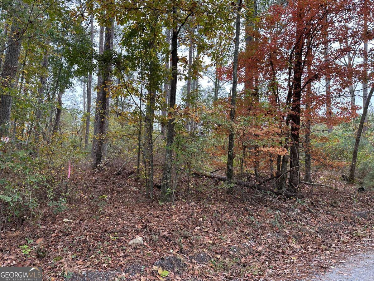 Villa Rica, GA 30180,0 Church LN