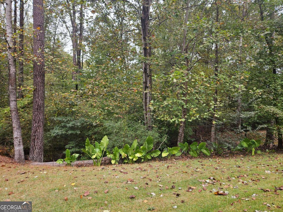 Lawrenceville, GA 30043,0 Cedar Farms DR