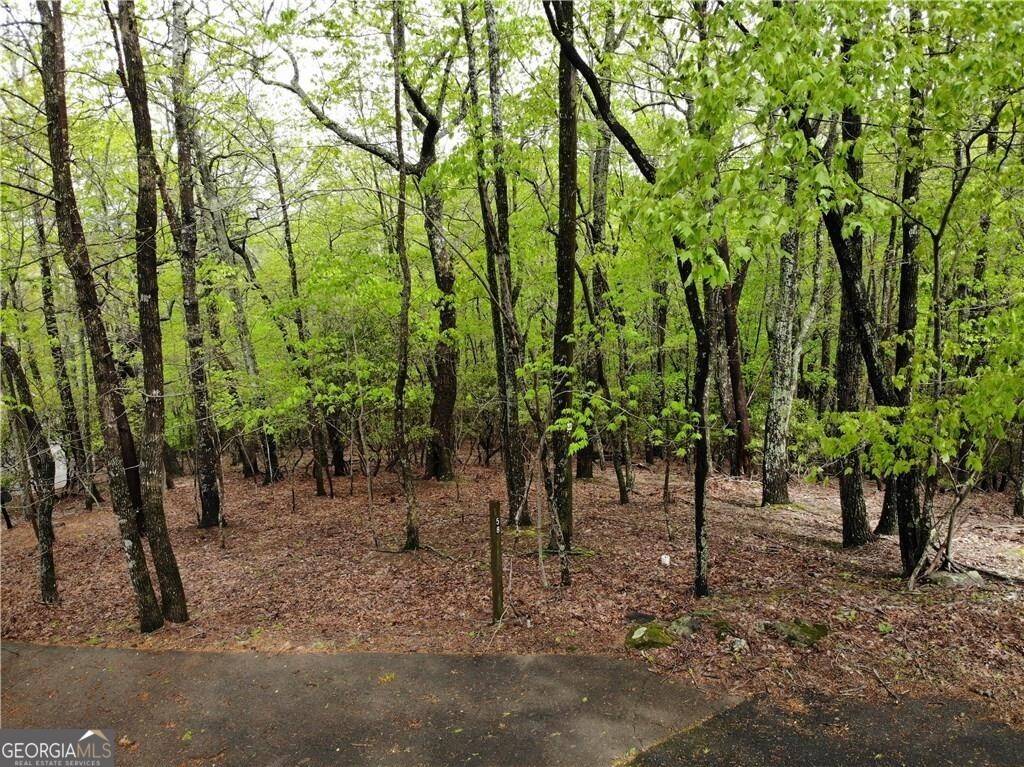 Jasper, GA 30143,0 Tee CT