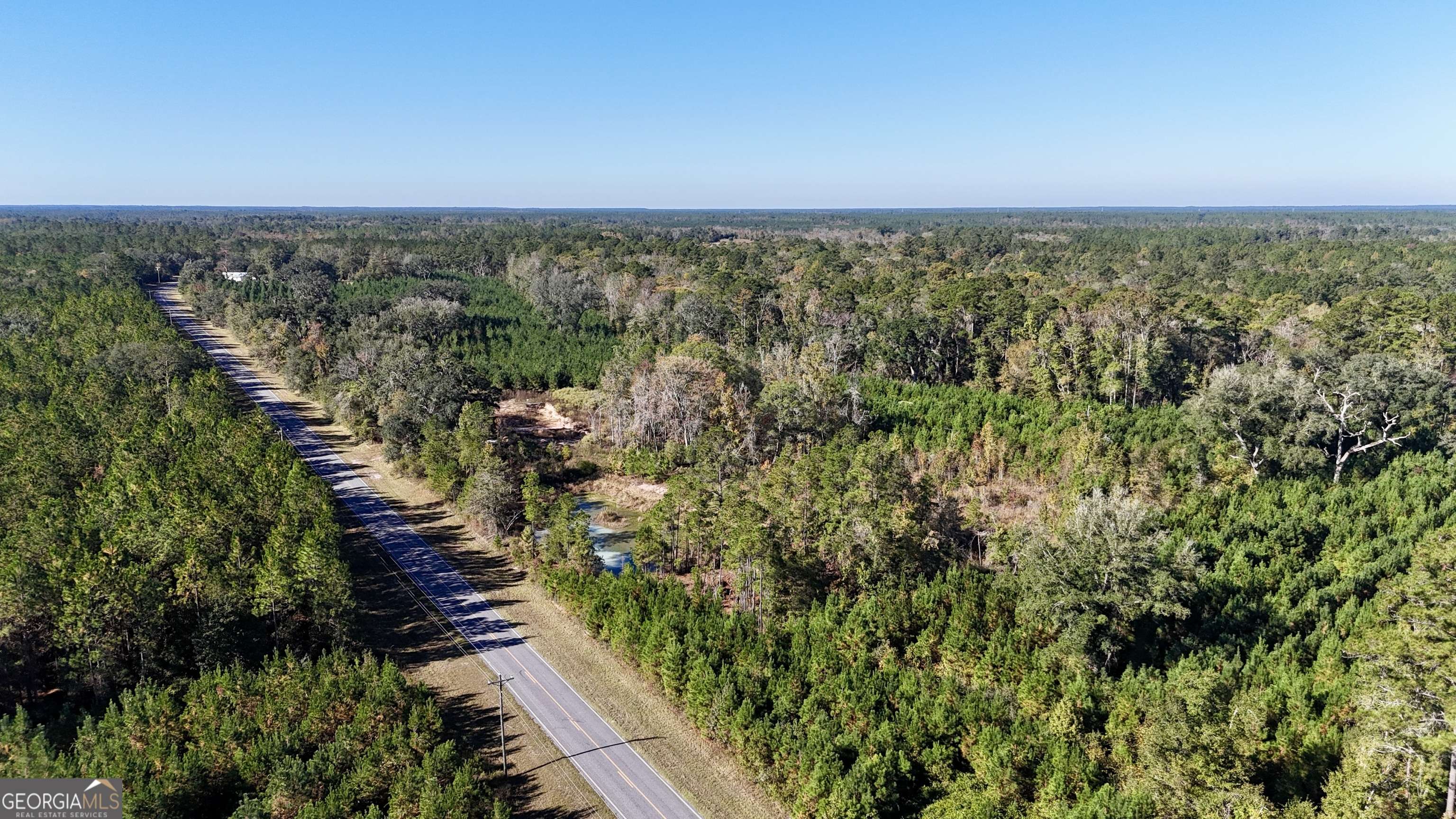 Nahunta, GA 31553,0 Bachlott Church RD