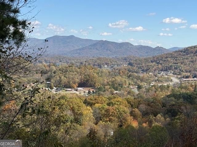 Young Harris, GA 30582,LT 18 Vista Loop RD