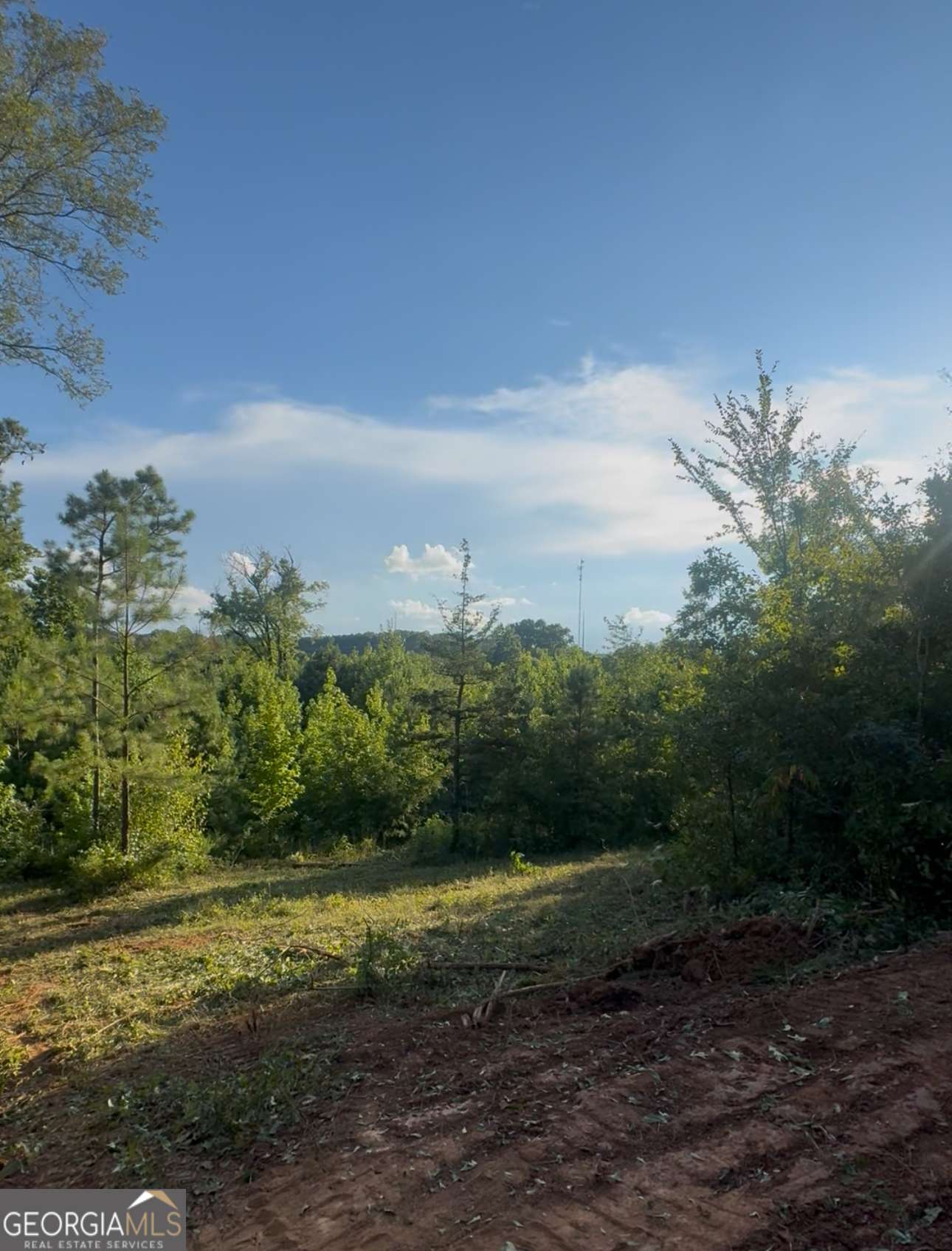 Cedartown, GA 30125,0 Old Potash RD