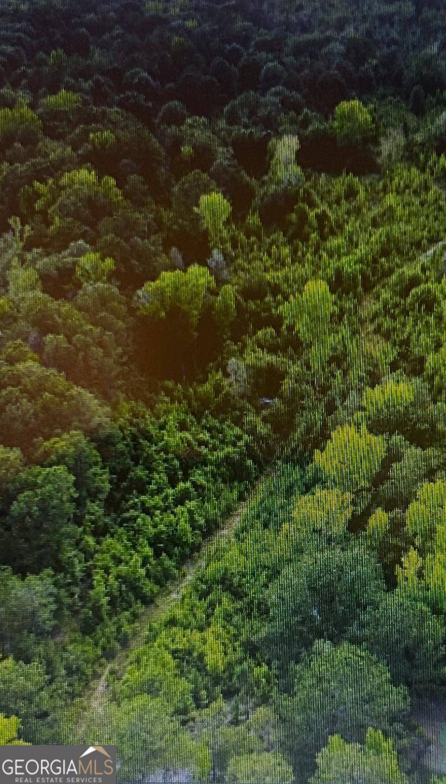 Box Springs, GA 31801,700 Gun Club RD