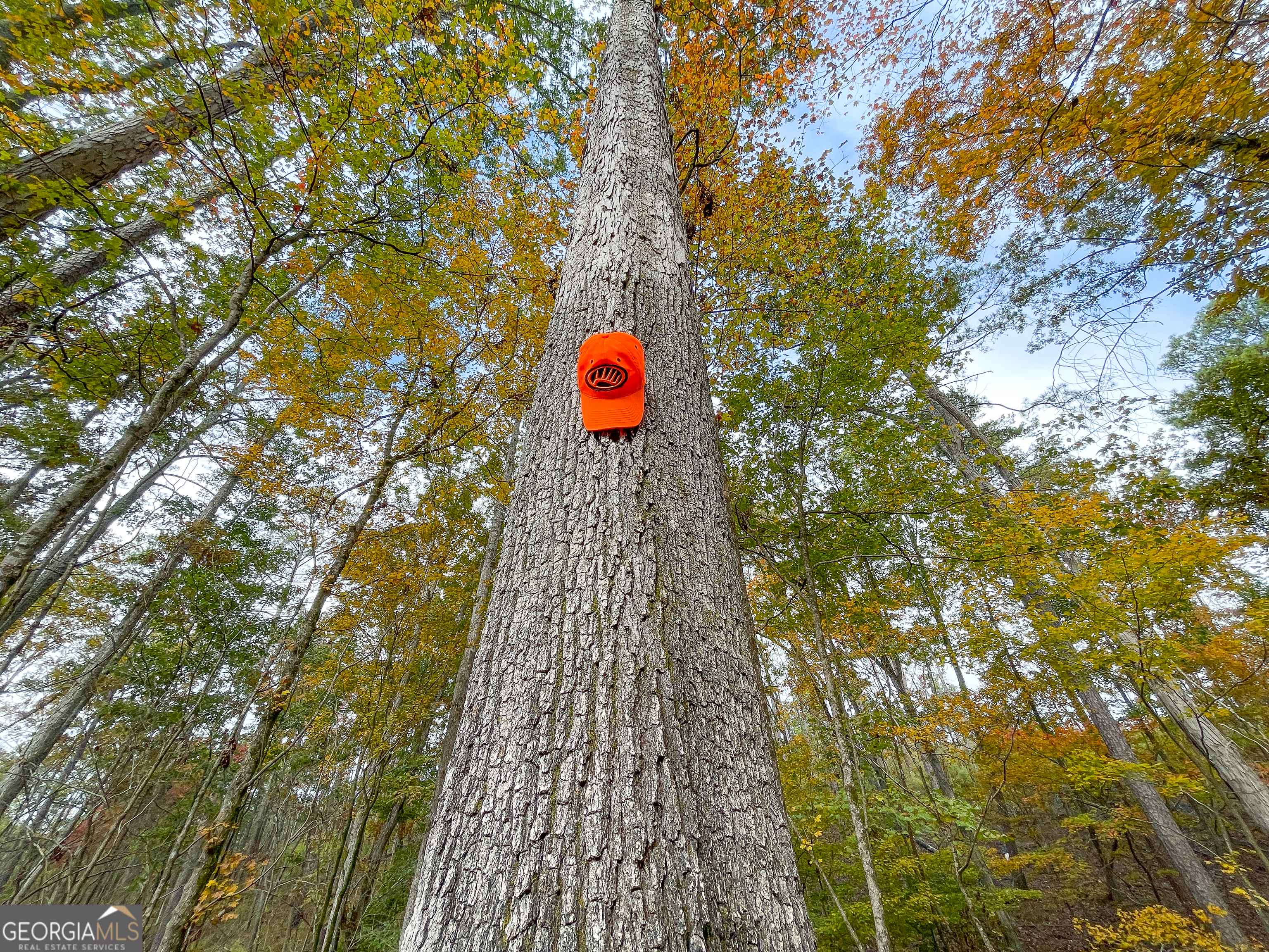 Rome, GA 30165,89 Barker RD