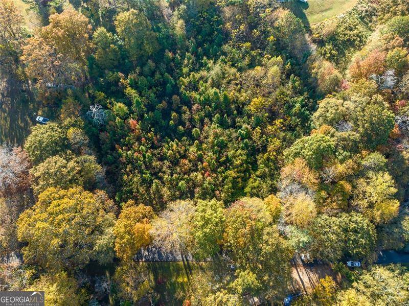 Ball Ground, GA 30107,286 Lowry ST