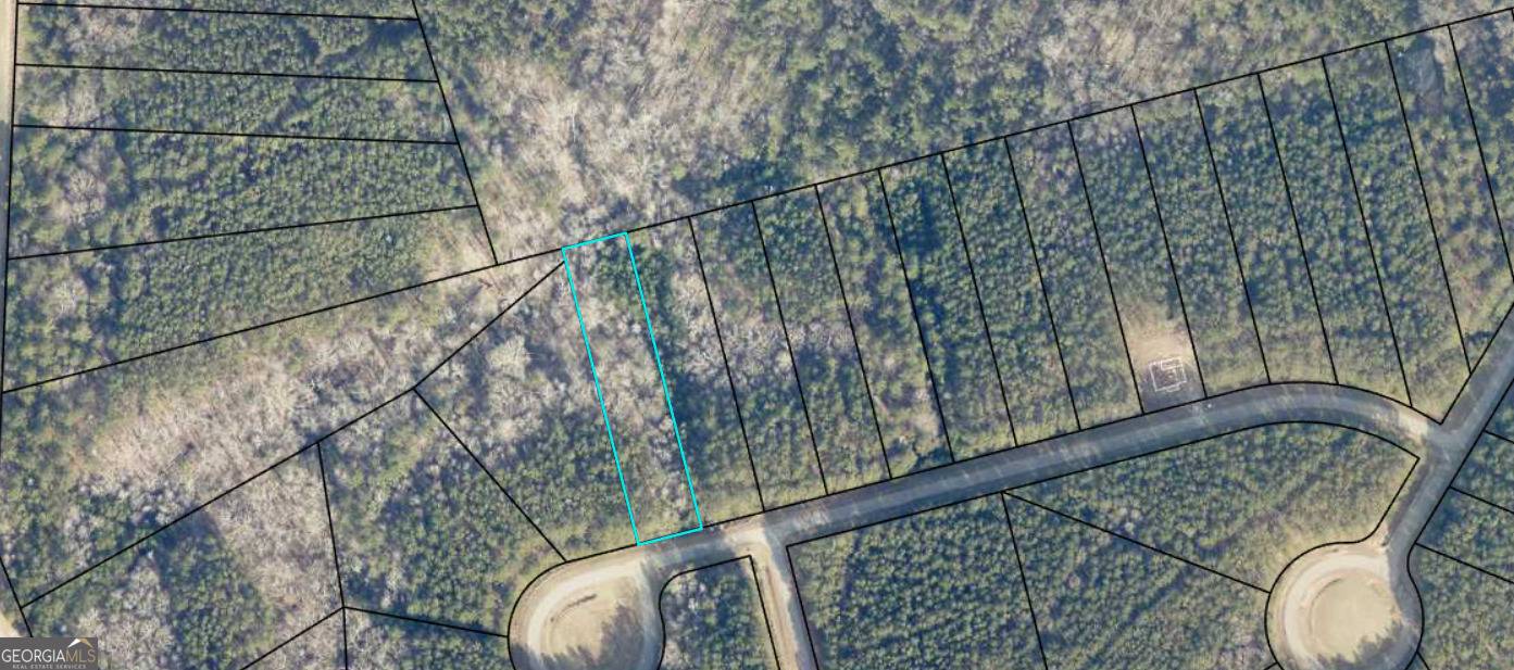 Tignall, GA 30668,1117 Watersedge CV