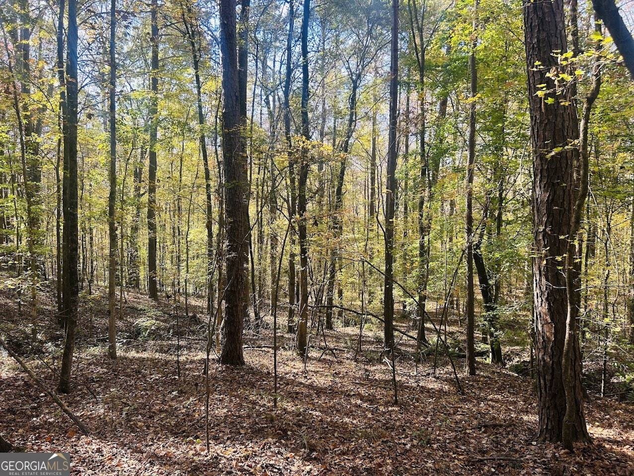 Conyers, GA 30013,0 Stream View DR #LOT 19