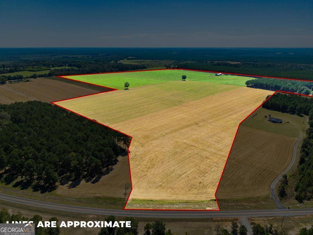 Buena Vista, GA 31803,TRACT 1 Joe Wells RD