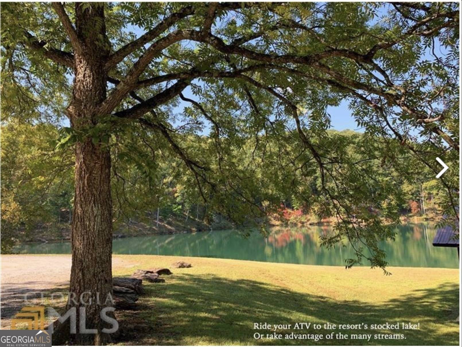 Ranger, GA 30734,945 Longbranch DR