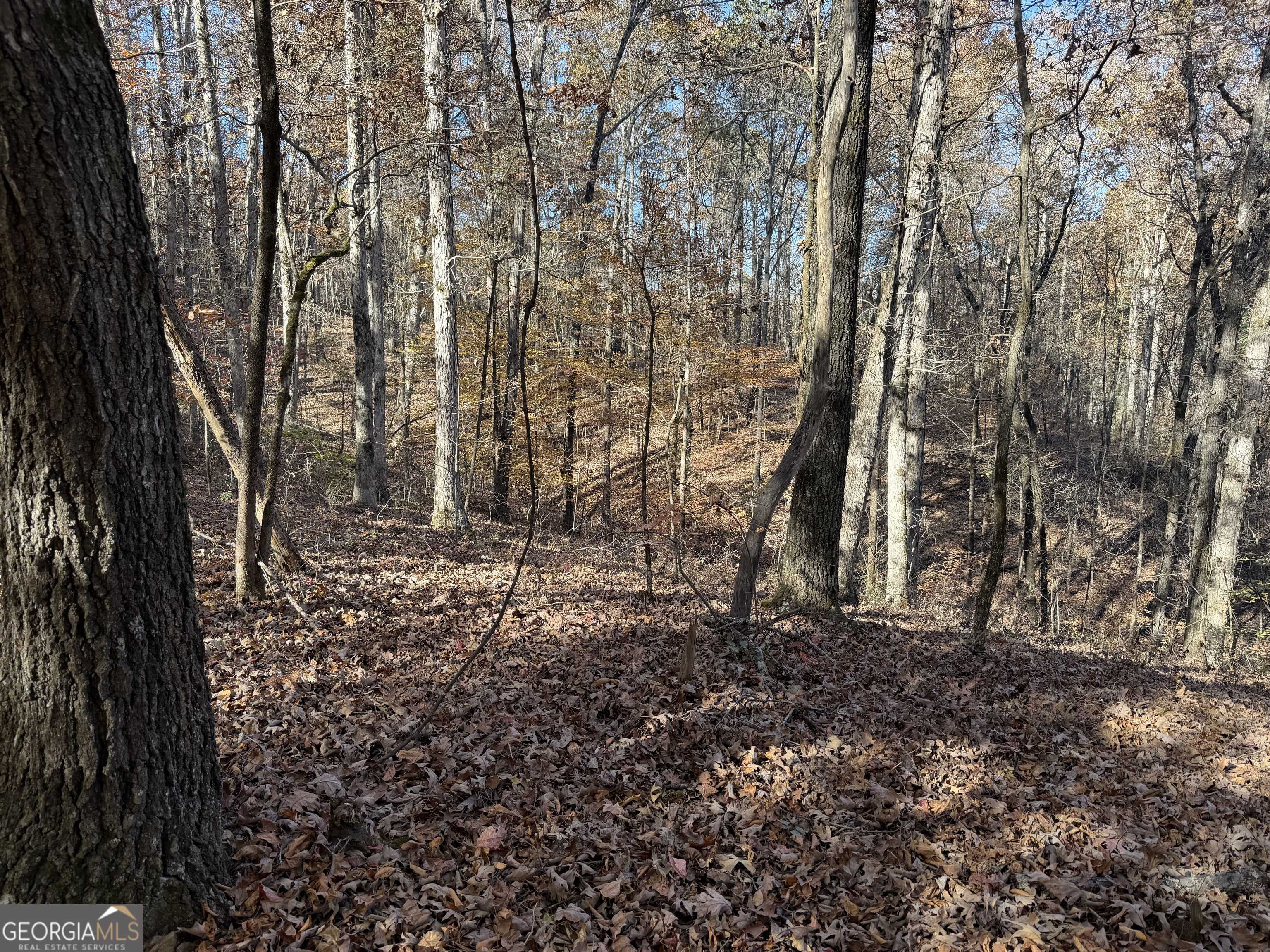 Talking Rock, GA 30175,0 Whitestone RD