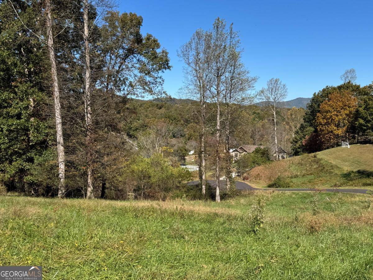 Blairsville, GA 30512,L 13/14 Anns WAY