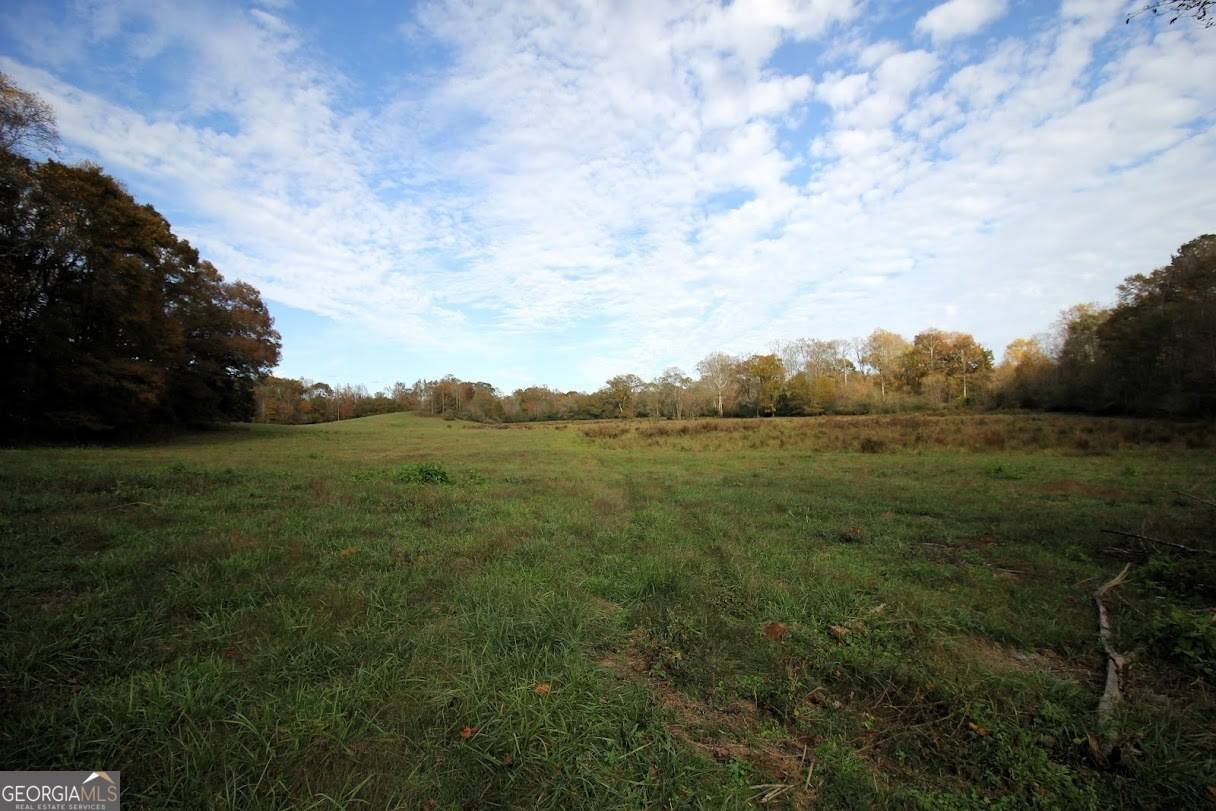 Bowdon, GA 30108,1254 Ayers RD