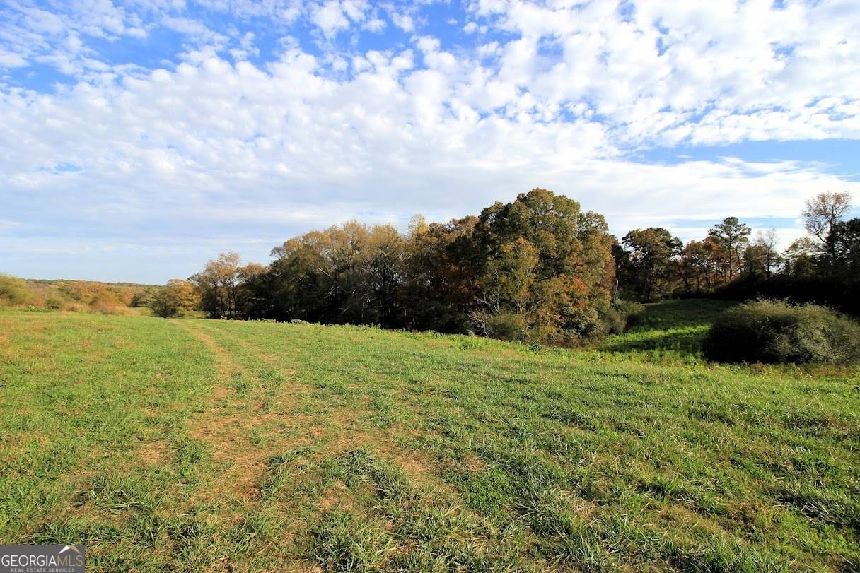 Bowdon, GA 30108,1254 Ayers RD