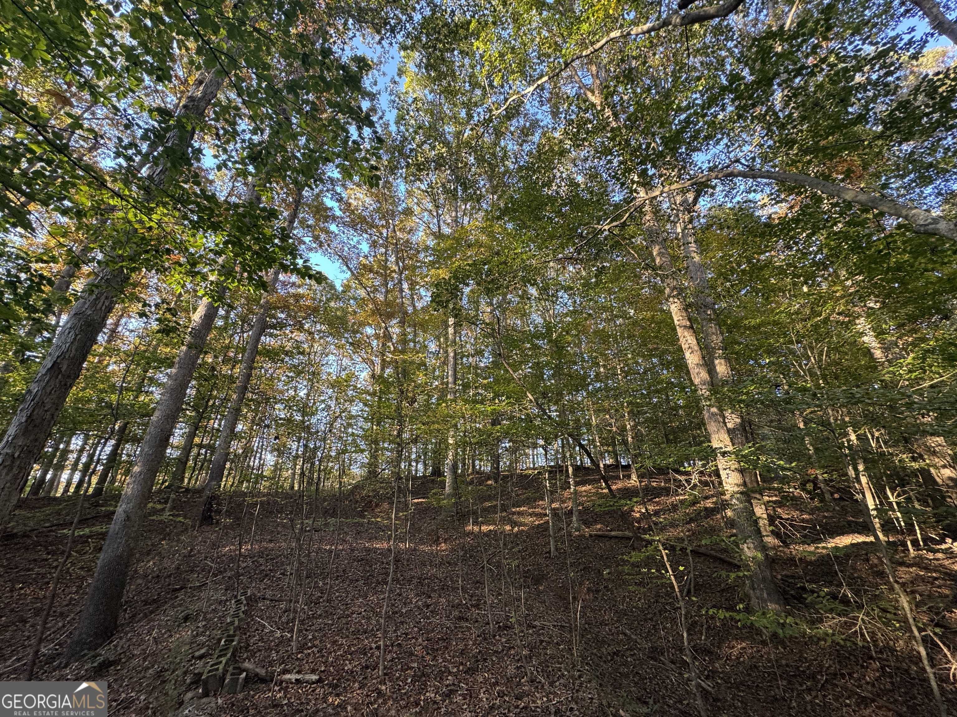 Royston, GA 30662,5.88 Royston BYP