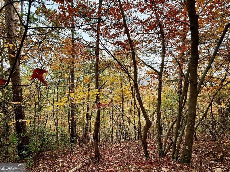 Ranger, GA 30734,526 Fedorak CT