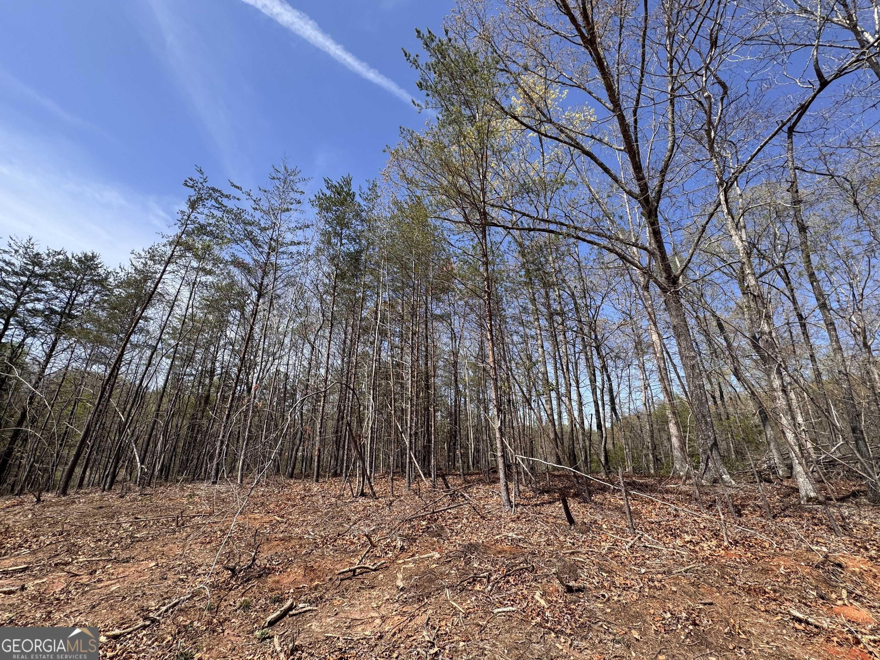 Cleveland, GA 30528,0 Highway 129 N