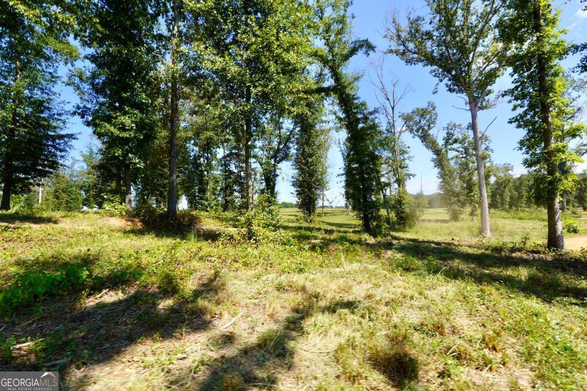 Barnesville, GA 30204,0 Walters RD #TRACT 5