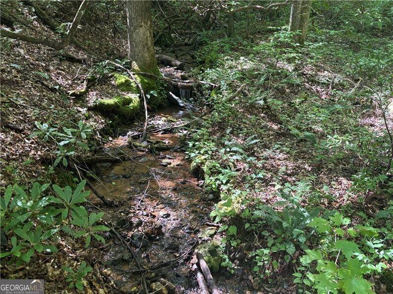 Suches, GA 30572,9 65AC Wilkins Cove RD