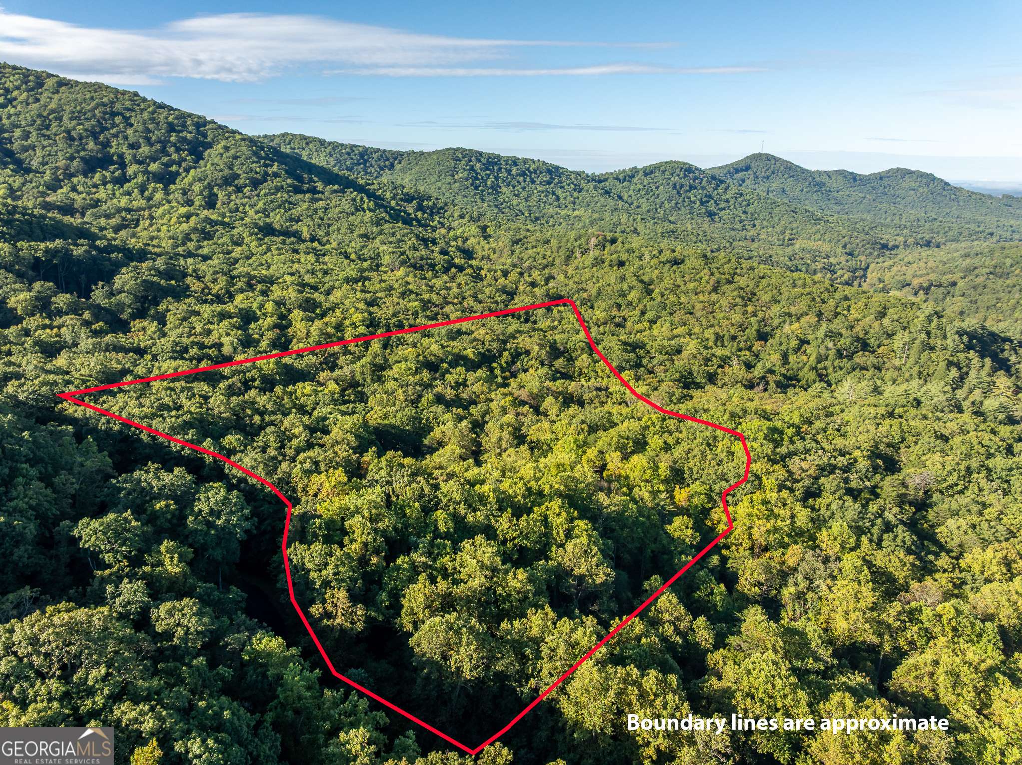 Ellijay, GA 30540,LOT 3 Wilderness WAY