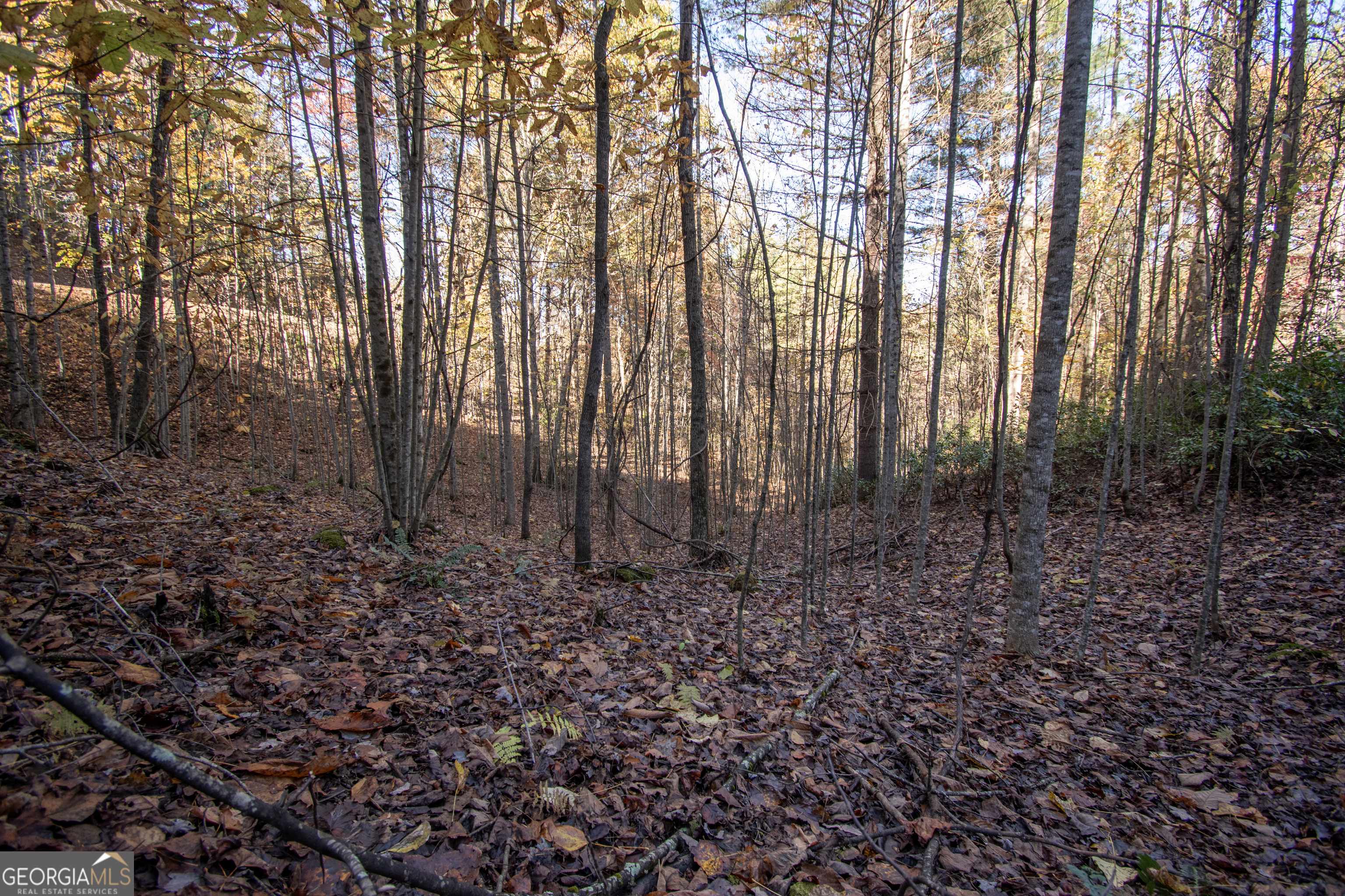Murphy, NC 28906,LOT 66 Choctaw ridge TRL