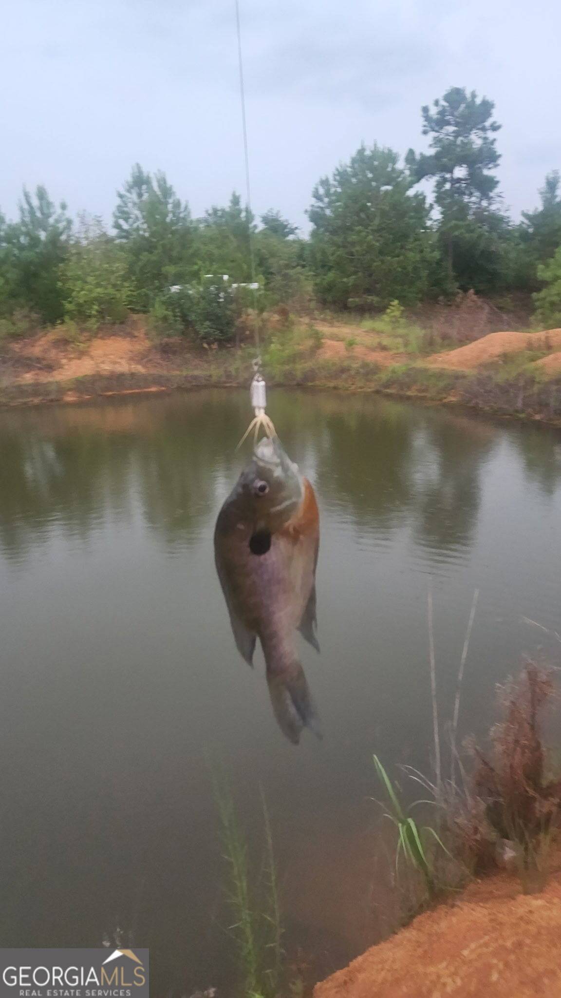 Albany, GA 31705,3625 Sylvester HWY