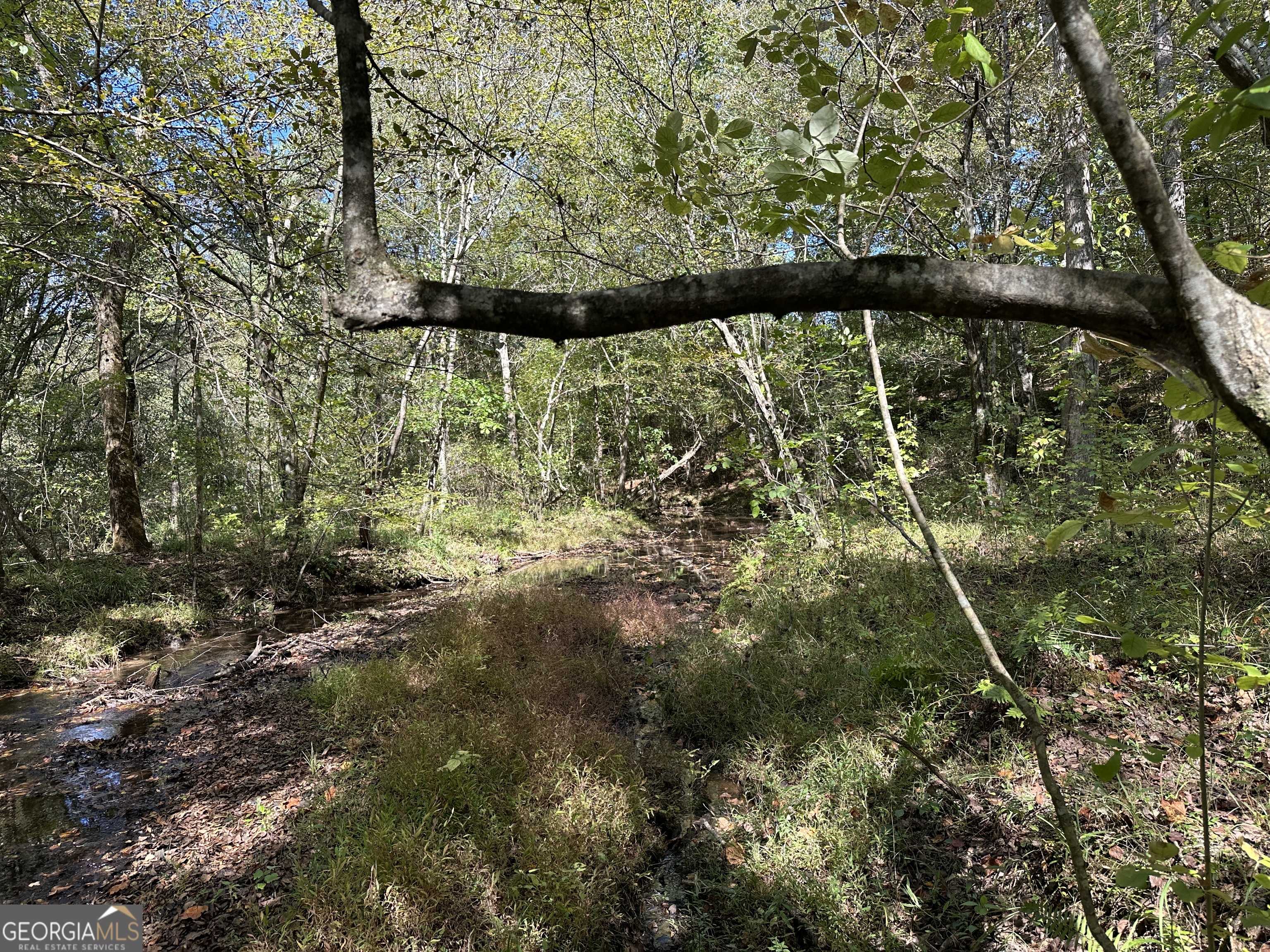 Cedartown, GA 30125,1849 Prior Station RD #77.57 ACRES