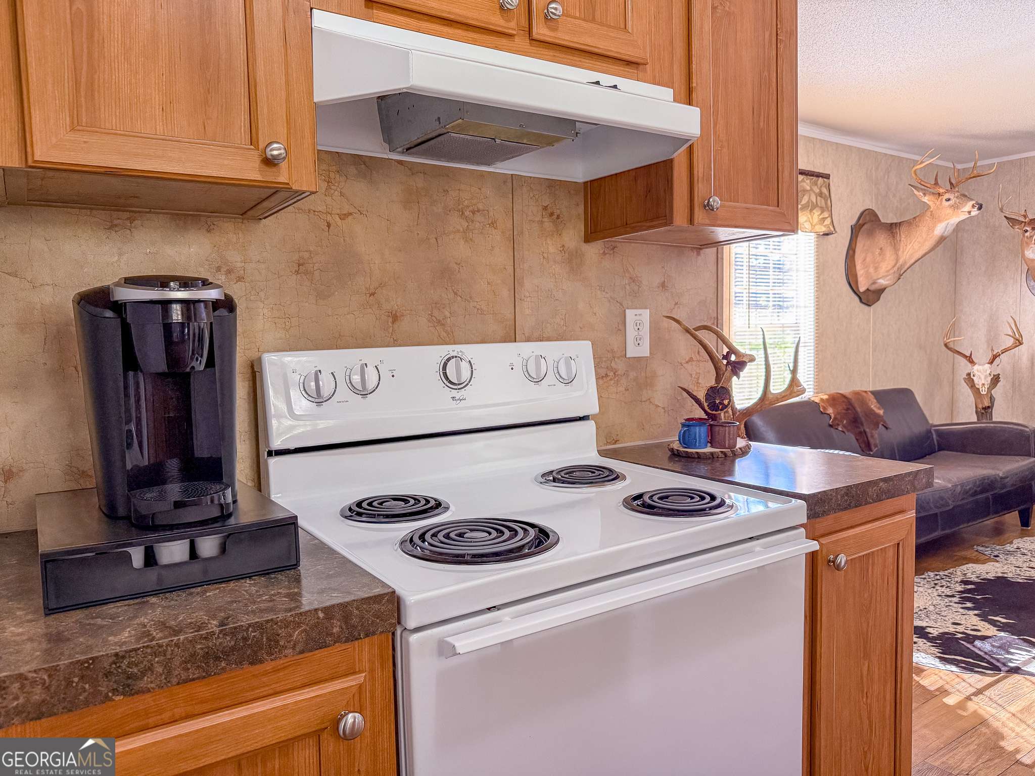 Montezuma, GA 31063,13357 Ga Highway 90 E