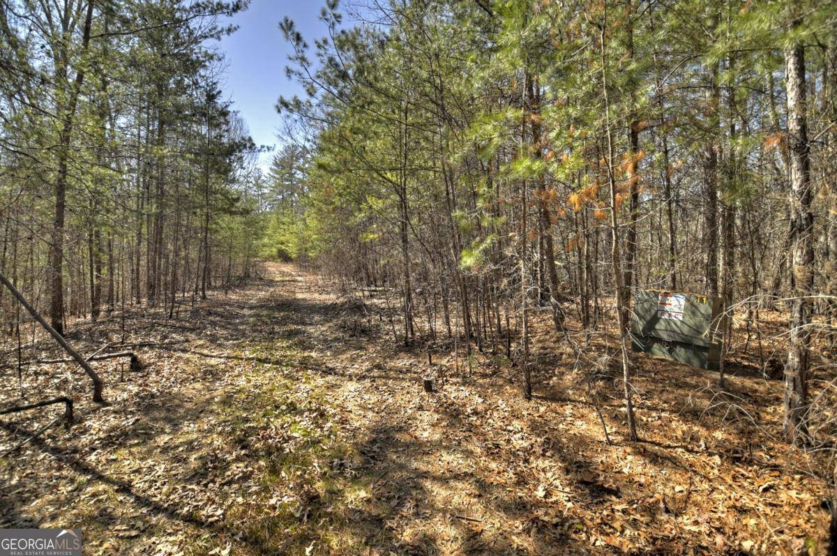 Mineral Bluff, GA 30559,48.4AC Lofty HTS